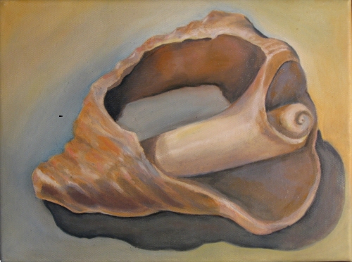 shell 2